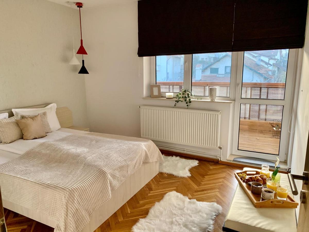 Appartement Viktory à Braşov Extérieur photo