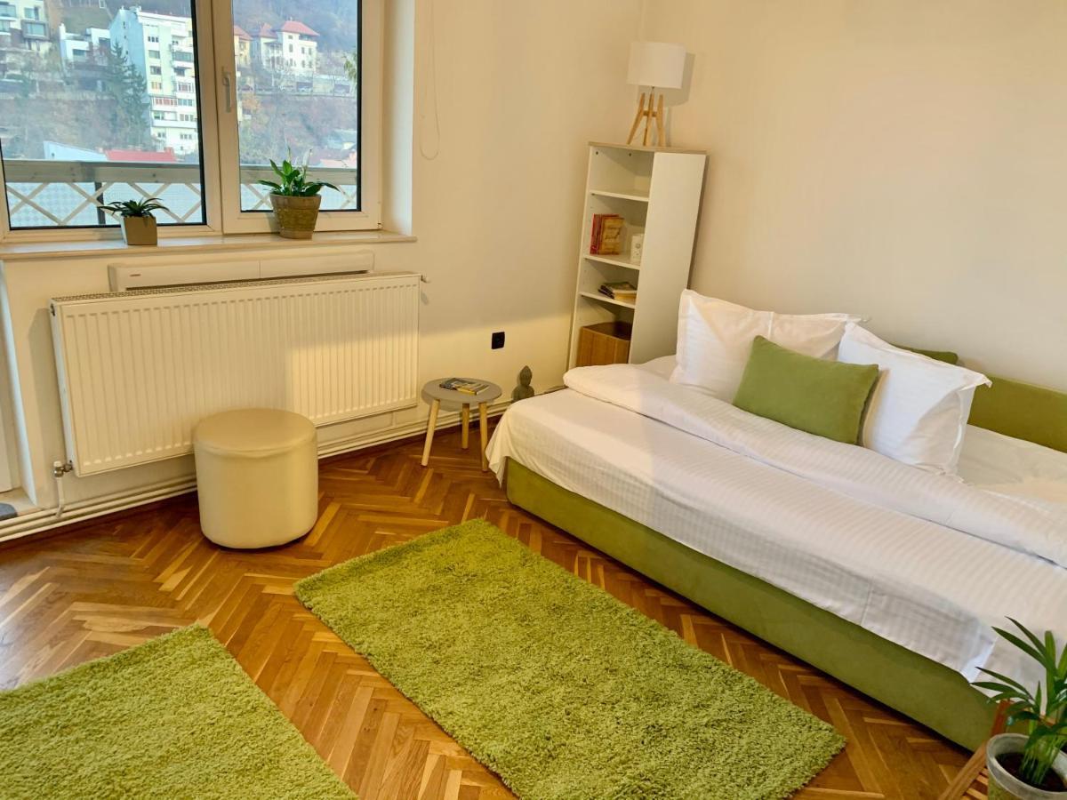 Appartement Viktory à Braşov Extérieur photo
