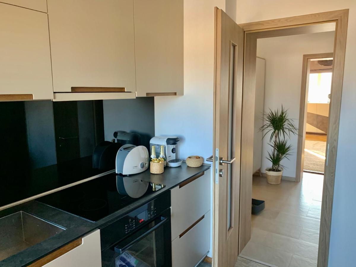 Appartement Viktory à Braşov Extérieur photo