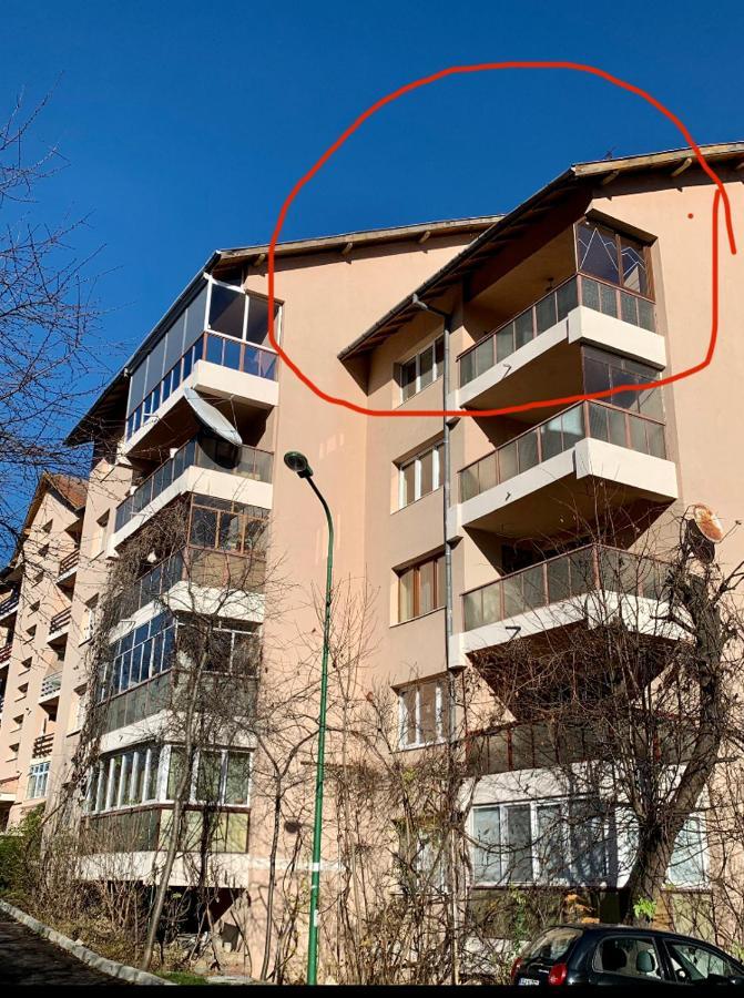 Appartement Viktory à Braşov Extérieur photo